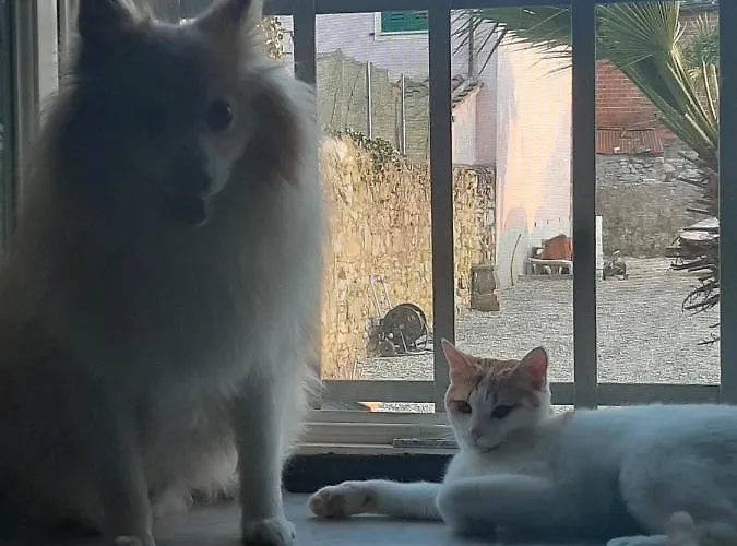 Principe Calaf 3 לוקה