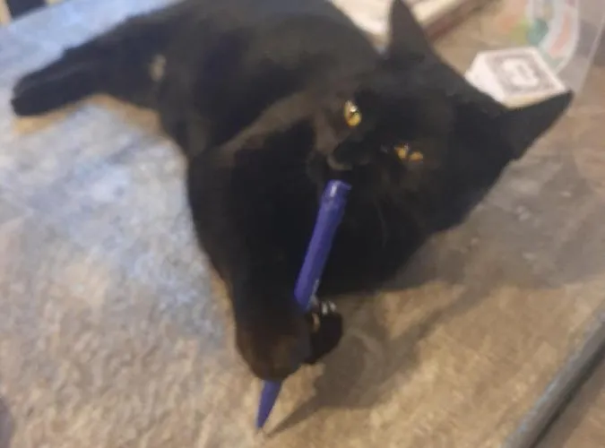 לינה וארוחת בוקר Principe Calaf 3 4*