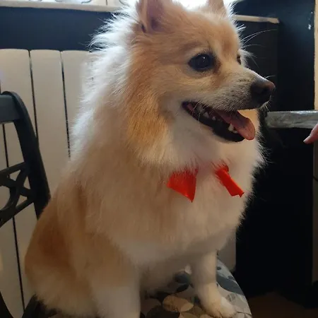 Bed & Breakfast Principe Calaf 3