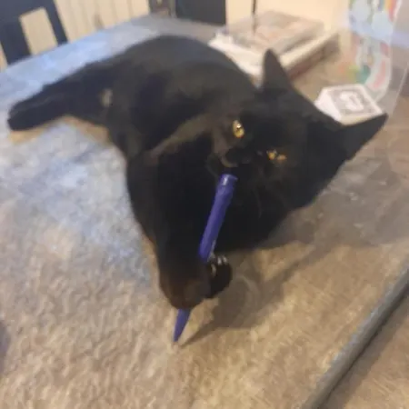 Bed & Breakfast Principe Calaf 3 4*